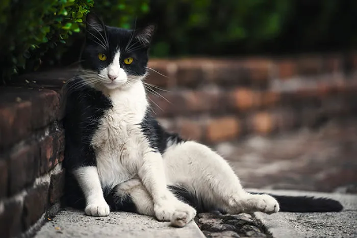 Draw Me Like One Of Your French Girls