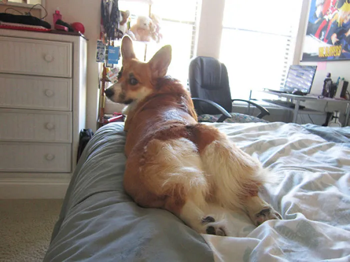 Draw Me Like One Of Your French Girls