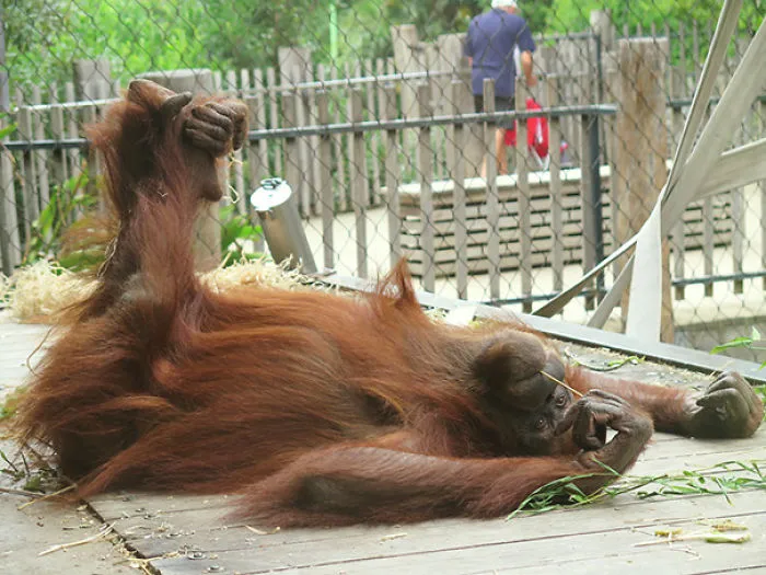 Draw Me Like One Of Your French Girls