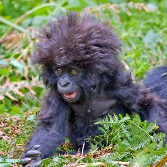 91 Astonished Animals Who Are Freaked Out By What's Happening