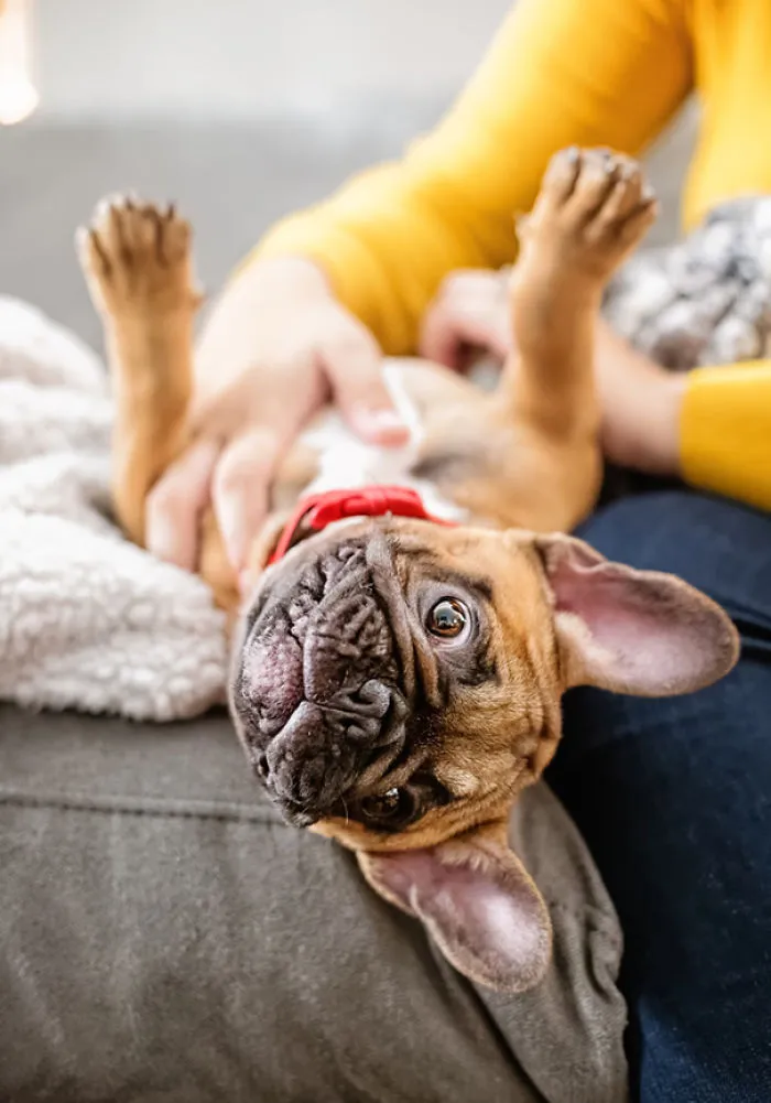 Belly Rubs