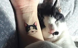 Cat Tattoos Are Probably The Cutest Way To Break The Law In South Korea