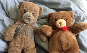 30 Years Ago, This Mom Bought 2 Identical Teddies - One For Her Son And Another For Her Son's Child