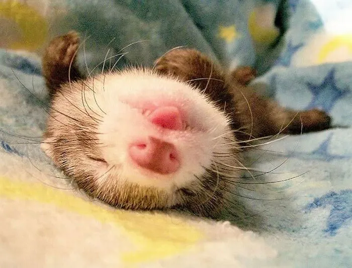 Sleeping