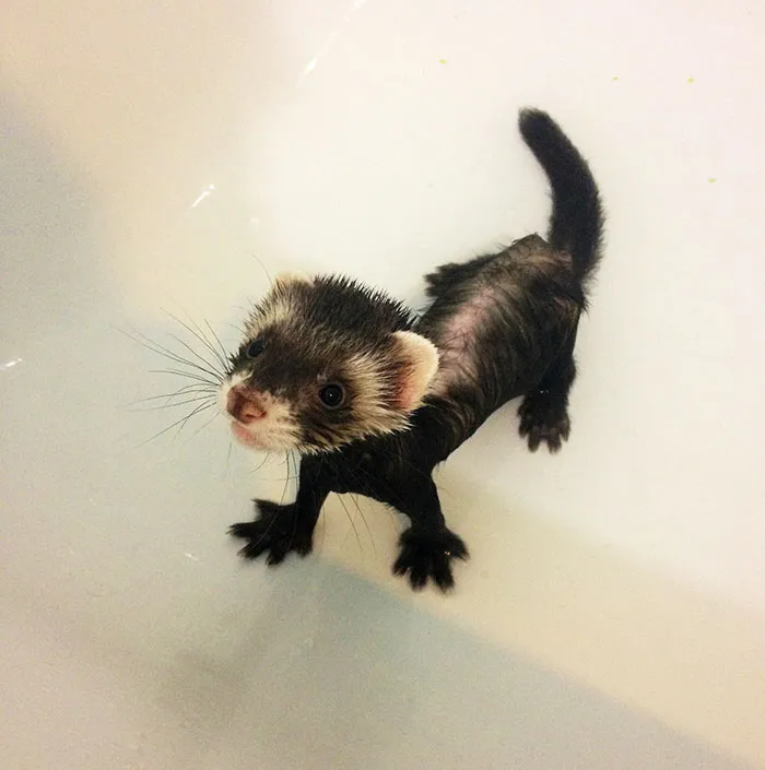 First Bath