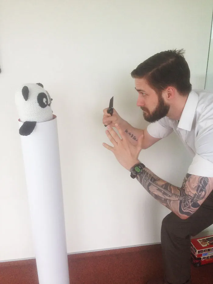 Panda-fight!