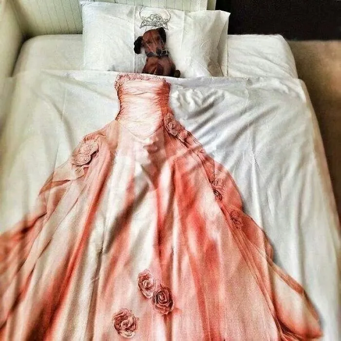 50 Sleepy Dogs Who're Definitely Not Letting You Sleep In Your Bed Tonight