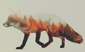 Double-Exposure Animal Portraits By Norwegian Photographer