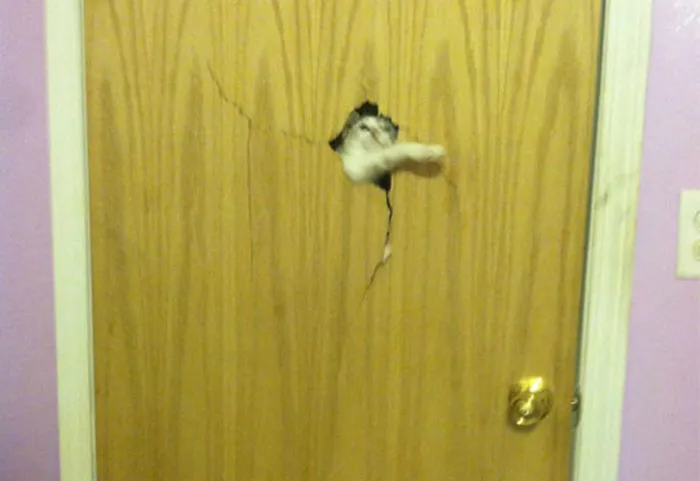 If You Don't Let Me In I Will Let Myself In