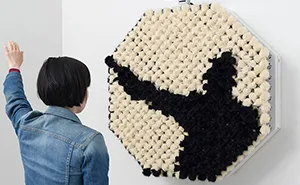 Interactive Fur Mirror - Don't Worry, No Pandas Were Harmed