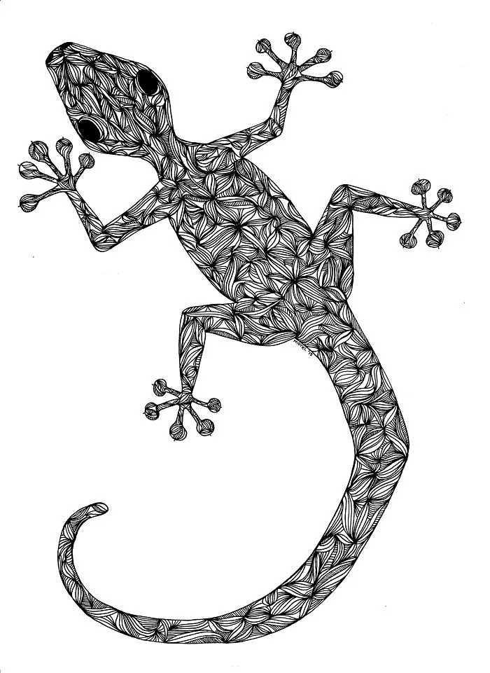 Gekko
