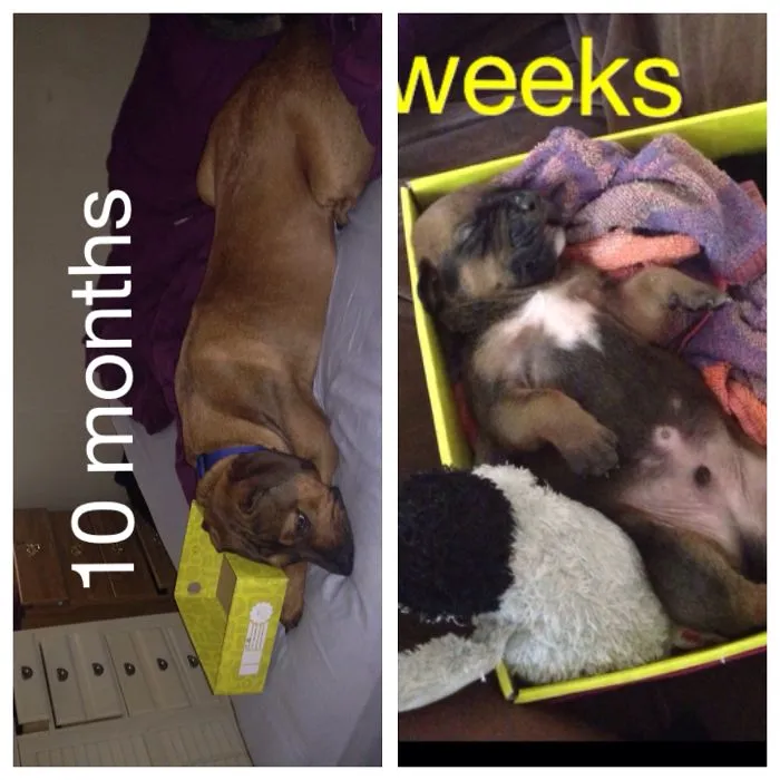 Troy And His Box 10 Months Apart!