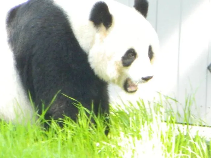91 Astonished Animals Who Are Freaked Out By What's Happening