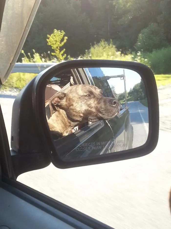 Enjoying The Fresh Air