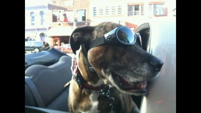 Conway Enjoying The Convertible