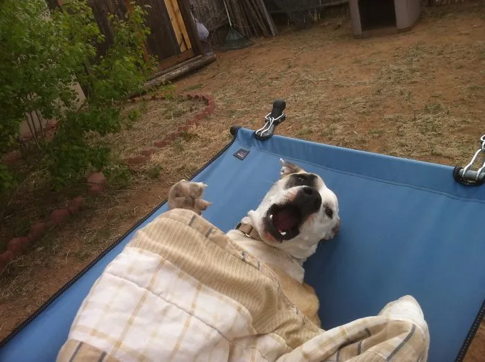 91 Astonished Animals Who Are Freaked Out By What's Happening