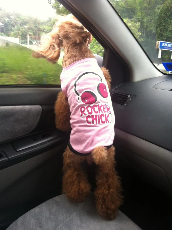 Enjoying A Ride