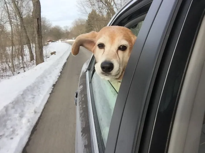 Goin' For A Ride!!