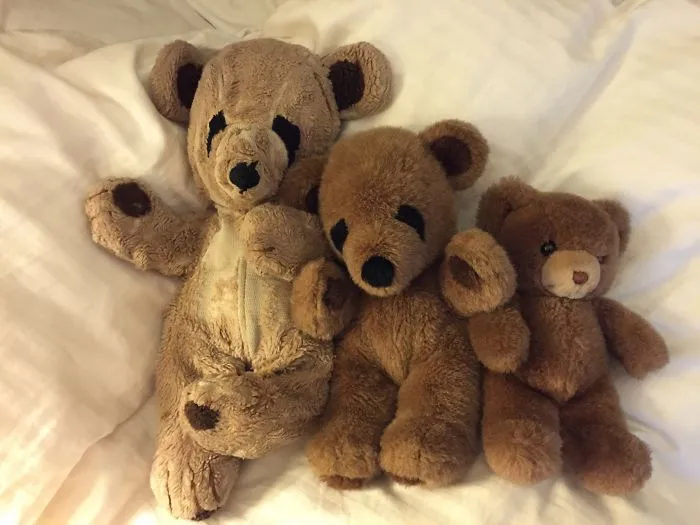 33yrs Old Teddy Born In Boston, Raised In Mexico, World Traveller, Once Lost In Central Park Nyc For 6 Days!!