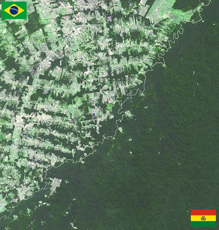 Bolivia And Brasil