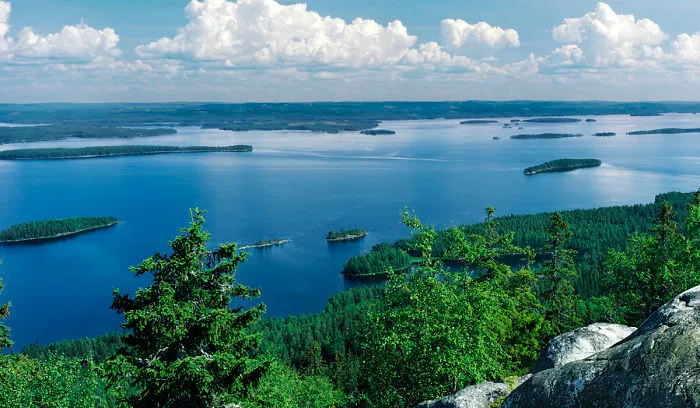Lake Pielinen Seen From The Mountain Koli