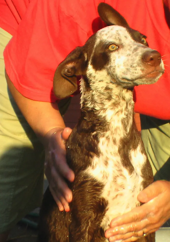 91 Astonished Animals Who Are Freaked Out By What's Happening
