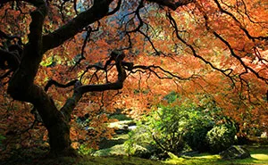 I Found Beauty Only 90 Minutes Away From My Home