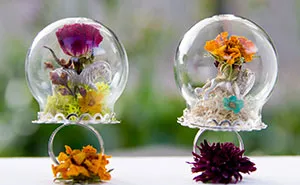 Nature-Scape Jewelry Lets You Carry A Tiny Oasis