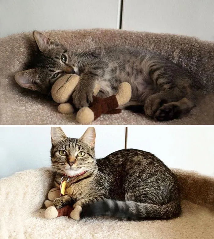 Eight Months Later, My Little Ball Of Fury