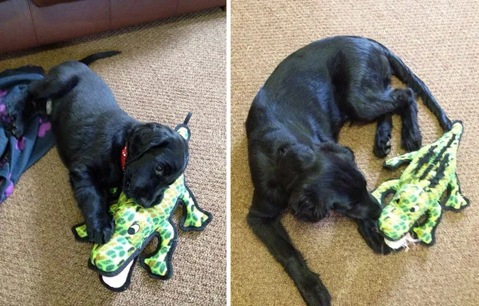 Ten Weeks Apart