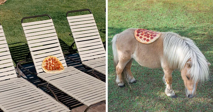 Pizza In The Wild