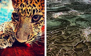 A State Of Awesomeness: My Collection Of Random Pictures From My Travels