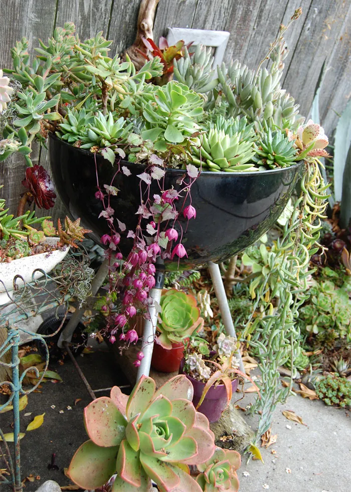Grill Planter