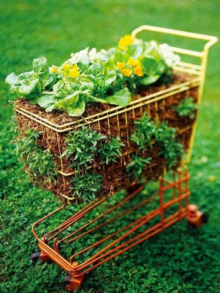 Shopping Cart Garden