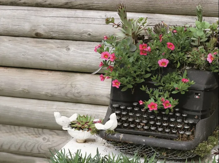 Typewriter Garden