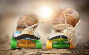 Let Me Show You How Beautiful And Courageous Snails Can Be