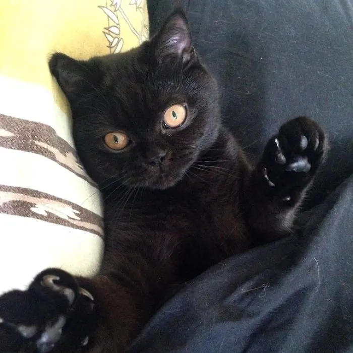 Go Away! I'm Sleeping