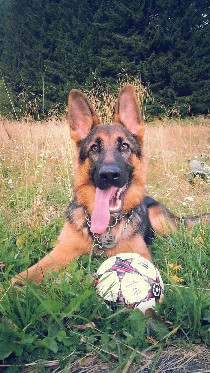 Just Posing
