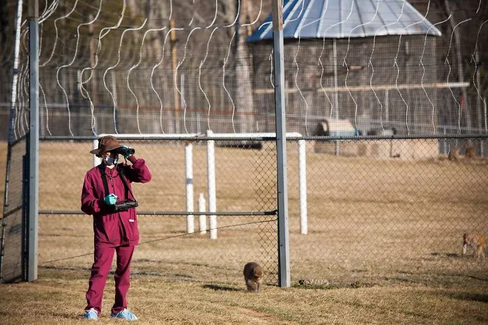 I Chose Primatology Because The Outfit I Get To Wear Every Day Is So Very #distractinglysexy.