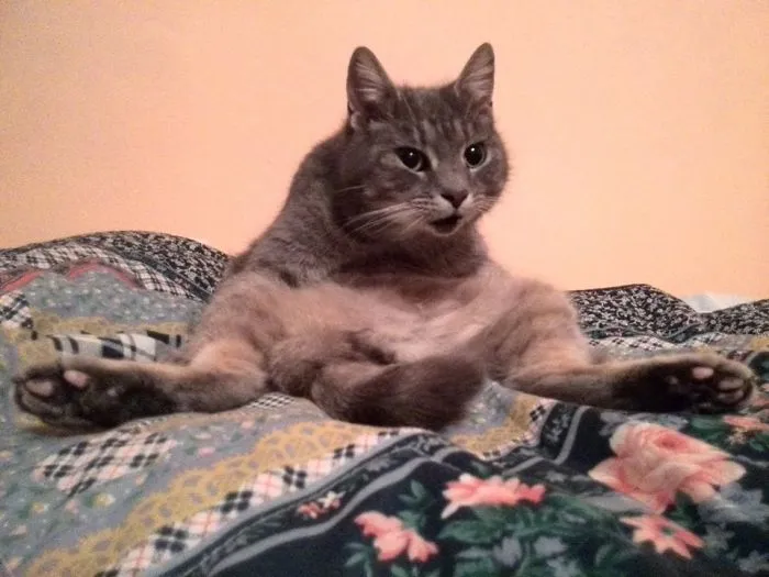 What's Up?