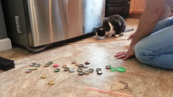So That Is What That Noise Was...