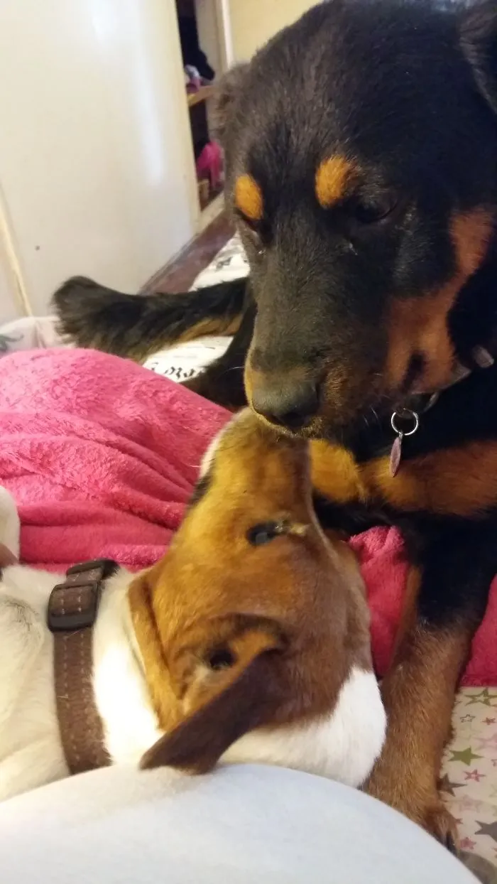 Love Is In The Air!