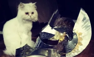 I Make Fantasy Armour And Accessories. Here Is My Story