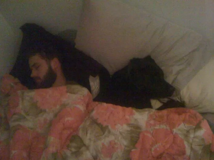 50 Sleepy Dogs Who're Definitely Not Letting You Sleep In Your Bed Tonight