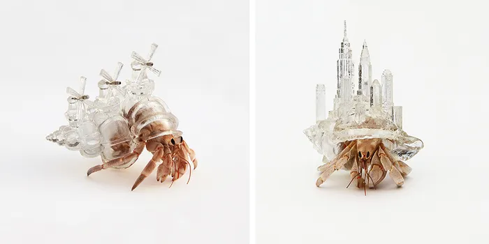 Artist 3D-Prints City-Shaped Shells For Hermit Crabs 