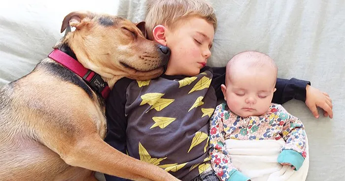 Famous Napping Boy And Puppy Duo Gets A New Nap Friend - A Baby Sister