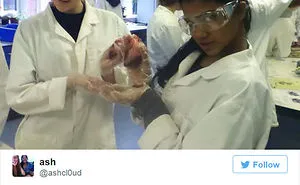Women Scientists Tweet "Sexy" Work Pics In Response To Male Nobel Laureate's Sexist Comments