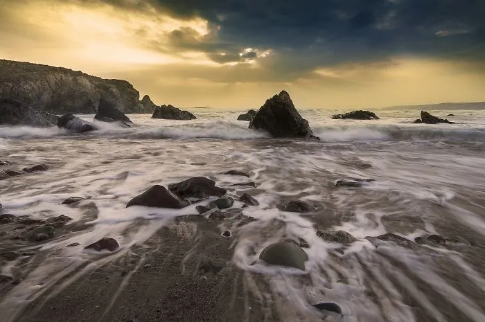 Waves