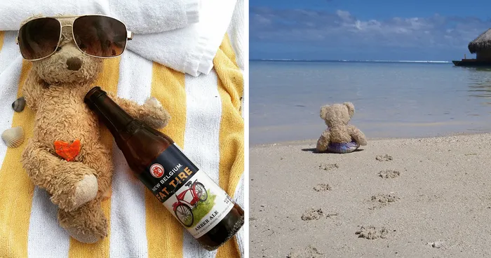 Everything Is Pawsibble: Pictures Of Bruno The Bear Travelling The World