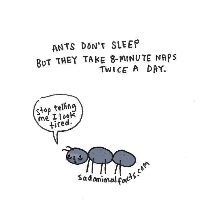 Sad Animal Facts Are The Cutest Way To Ruin Your Day